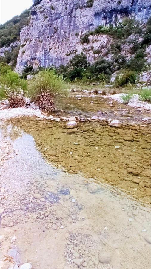 Le Mas Du Paradis Bleu Saint-Andre-de-Cruzieres Εξωτερικό φωτογραφία